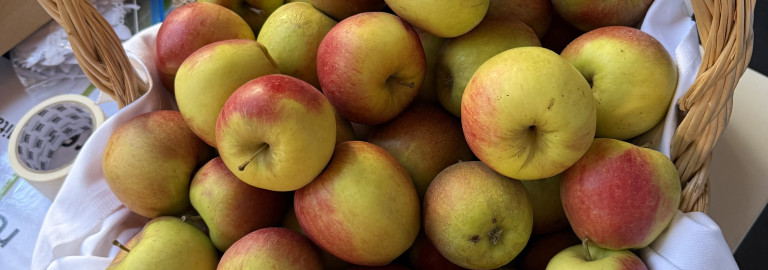 Apfelkorb